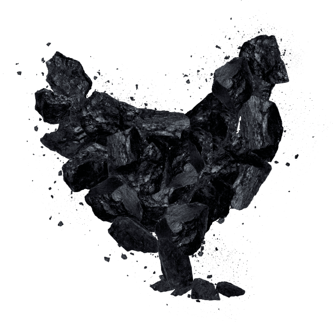 Charcoal Chicken